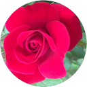 Paulette L. profile picture