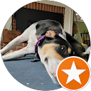 ed clark profile picture